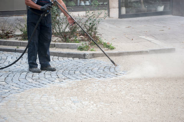 Best Driveway Pressure Washing  in Needville, TX